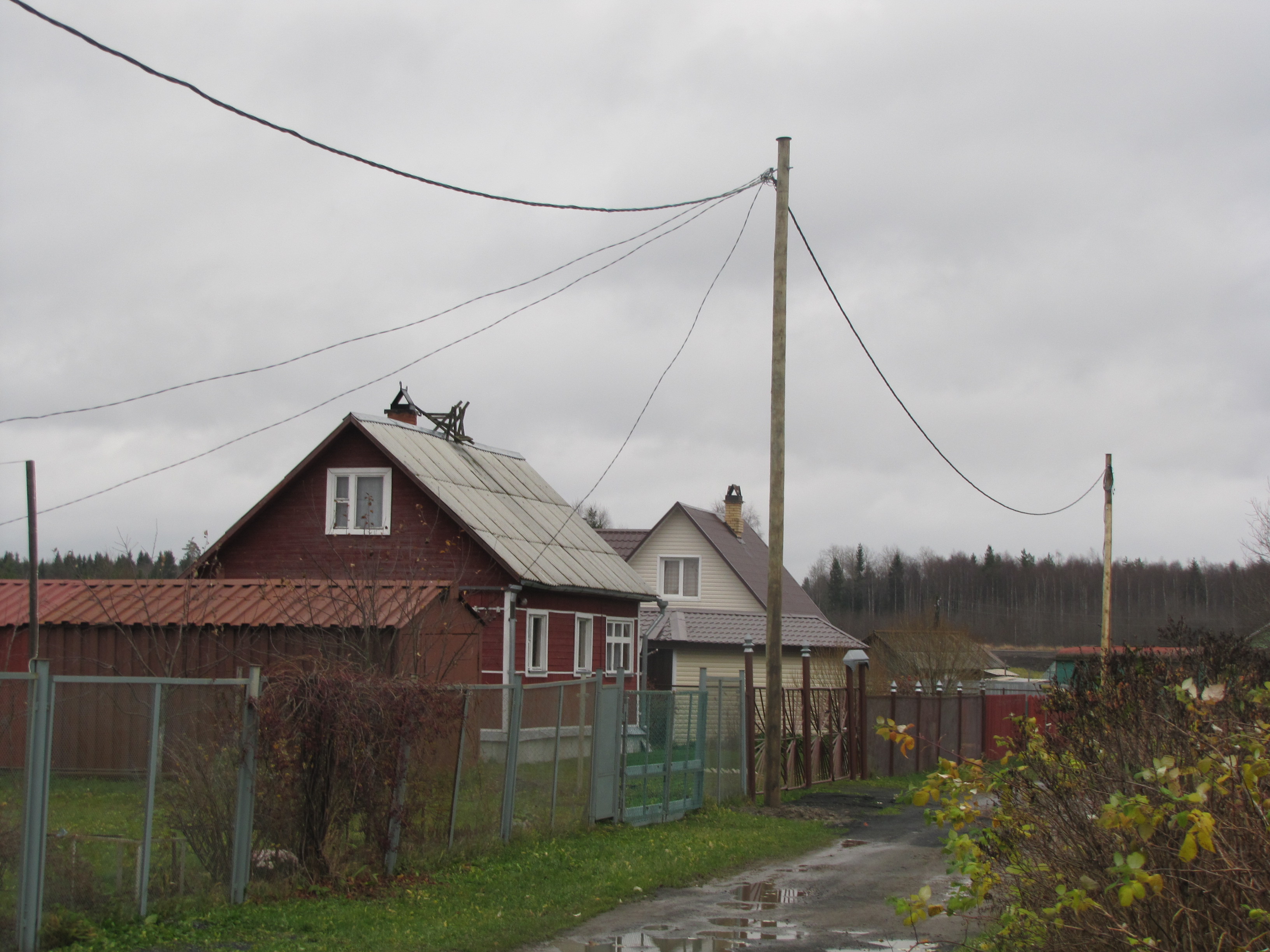 Прионежская сетевая компания предупреждает потребителей электроэнергии |  СТОЛИЦА на Онего