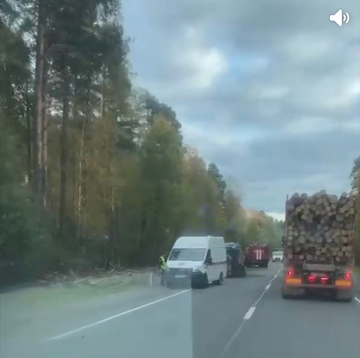 Лесовоз с бревнами слетел с дороги и опрокинулся в Кондопожском районе Карелии