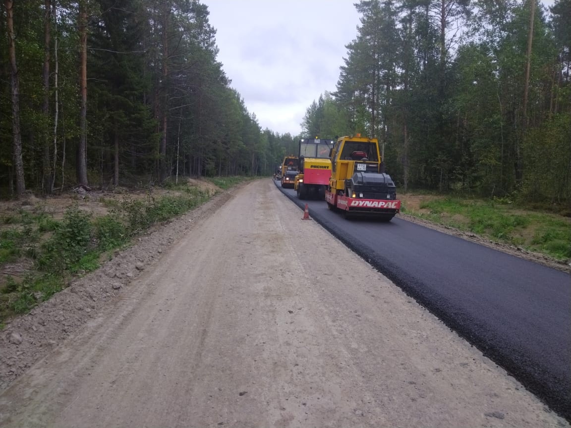 Видлица Олонецкий район