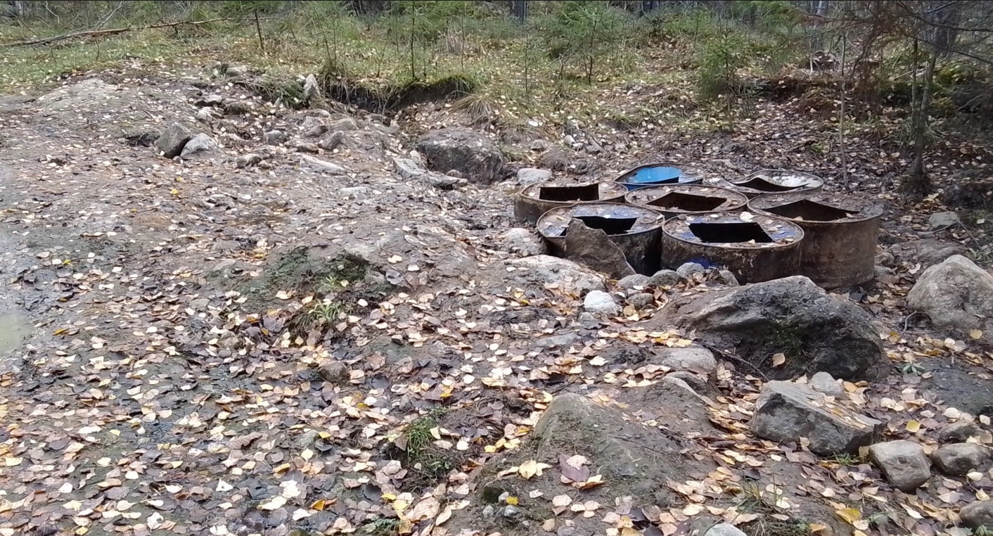 Захоронение рыбных отходов нашли в Медвежьегорском районе Карелии