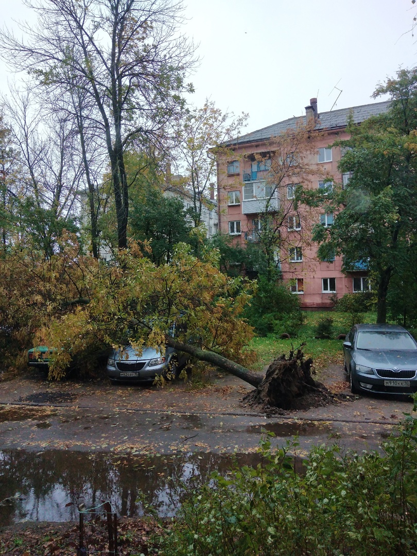 После шторма жители Петрозаводска недовольны работой управляющих компаний |  СТОЛИЦА на Онего