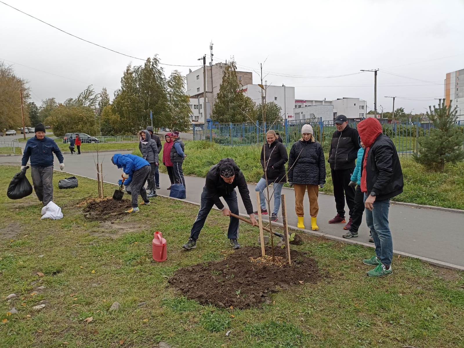 В Петрозаводске высадили ясени в память о Михаиле Устинове