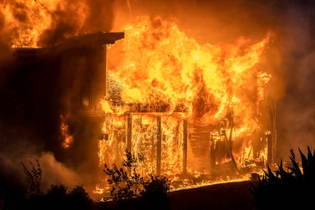 Пенсионер погиб на пожаре в собственном доме на востоке Карелии