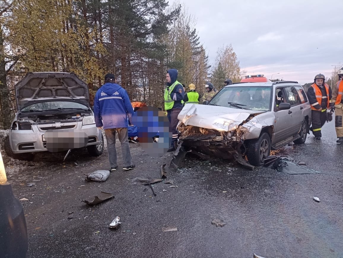 В смертельном ДТП под Петрозаводском погибла сестра одного из пряжинских  пожарных | СТОЛИЦА на Онего