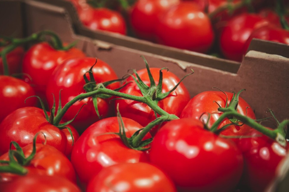 В Карелии за неделю взлетела цена на помидоры