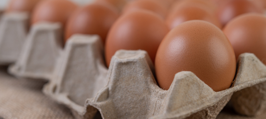 В Минсельхозе Карелии рассказали о мерах для стабилизации взлетевших цен на яйца