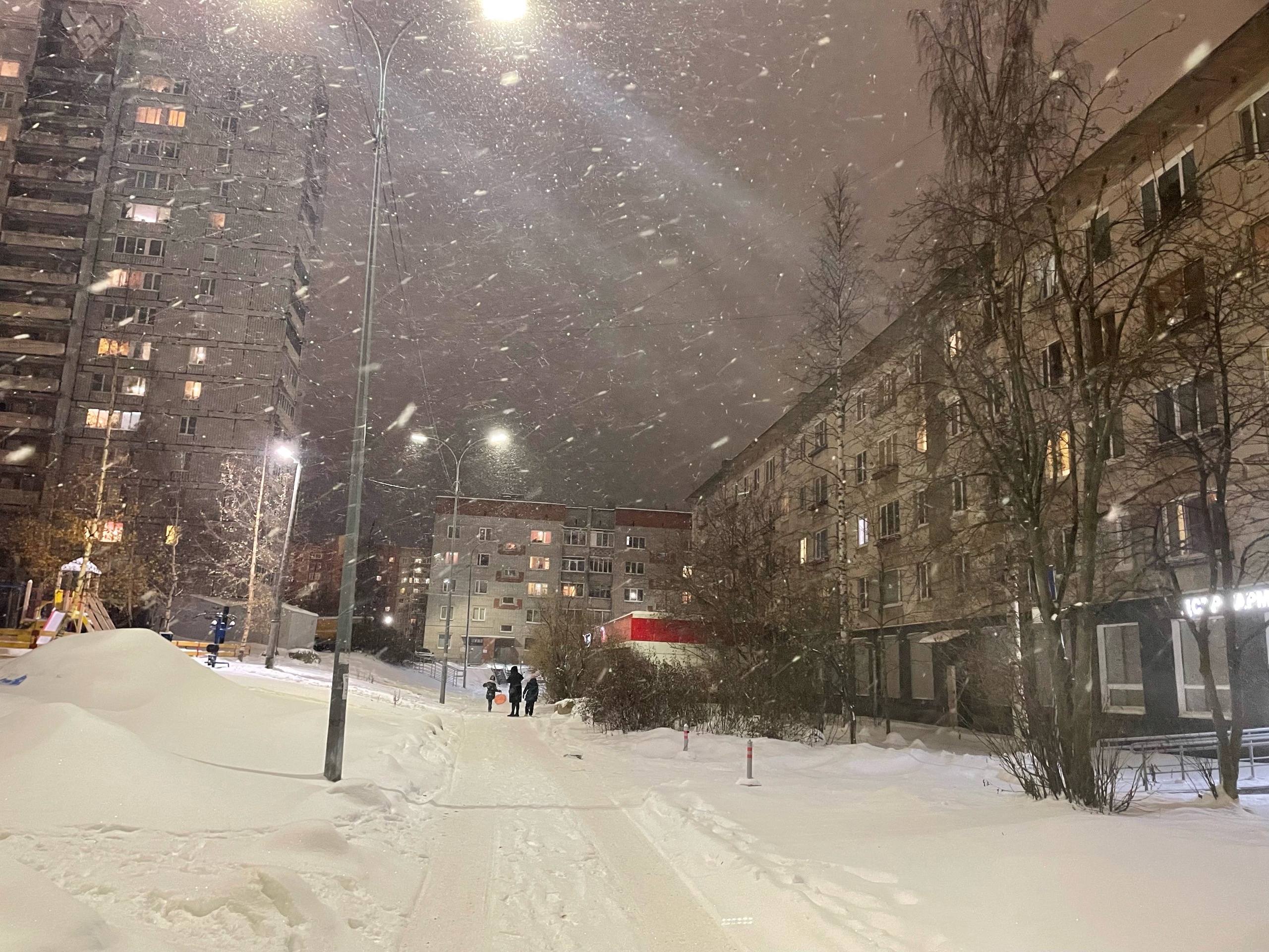 Сильный снег завалит столицу Карелии 