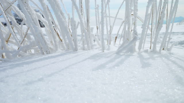 Узнали, в каком районе Карелии выпало больше всего снега 