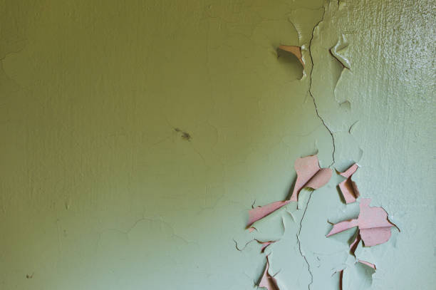 Школу в Карелии оштрафовали за дефекты внутренней отделки и следы течи на потолке и стенах