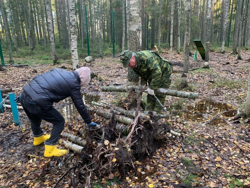 Глава Петрозаводска предложила ввести в новом году «список добрых дел» |  СТОЛИЦА на Онего