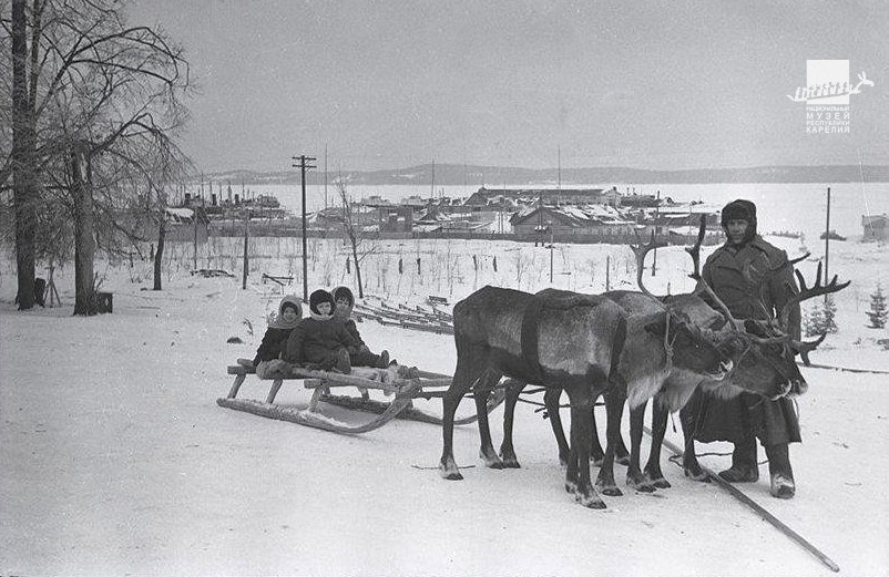 Детей в петрозаводском парке катали на оленьих упряжках
