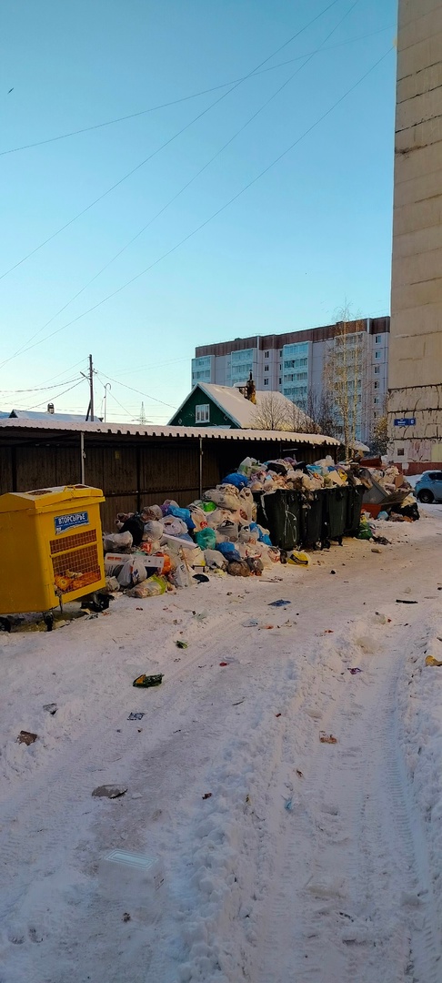 Переполненные мусорные контейнеры в одном из районов Петрозаводска возмутили местных жителей