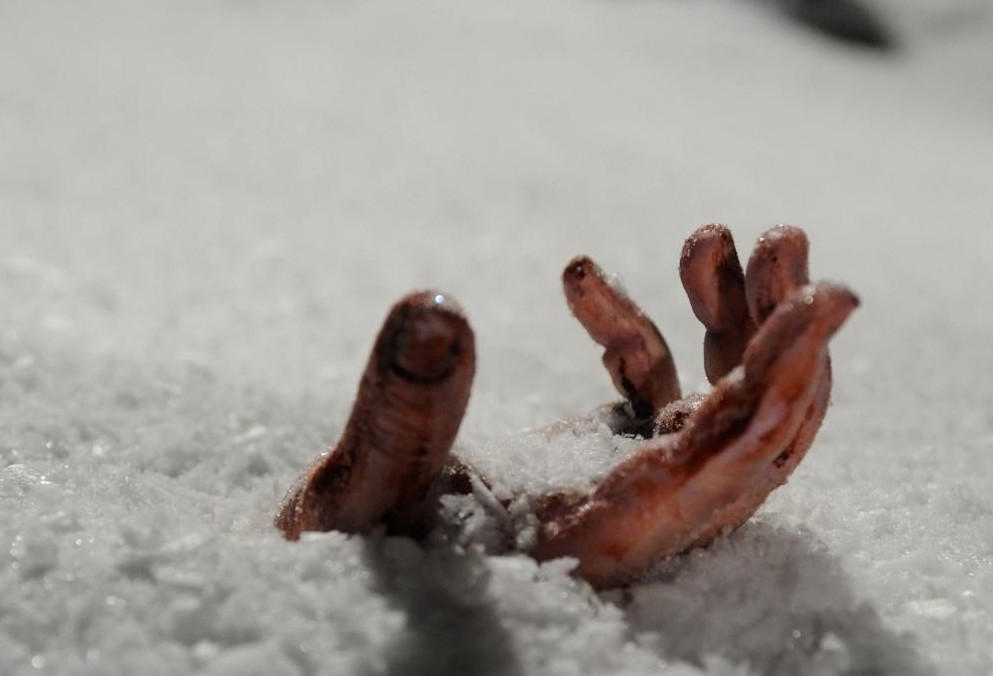 Труп нашли при уборке снега на дороге в Приладожье Карелии
