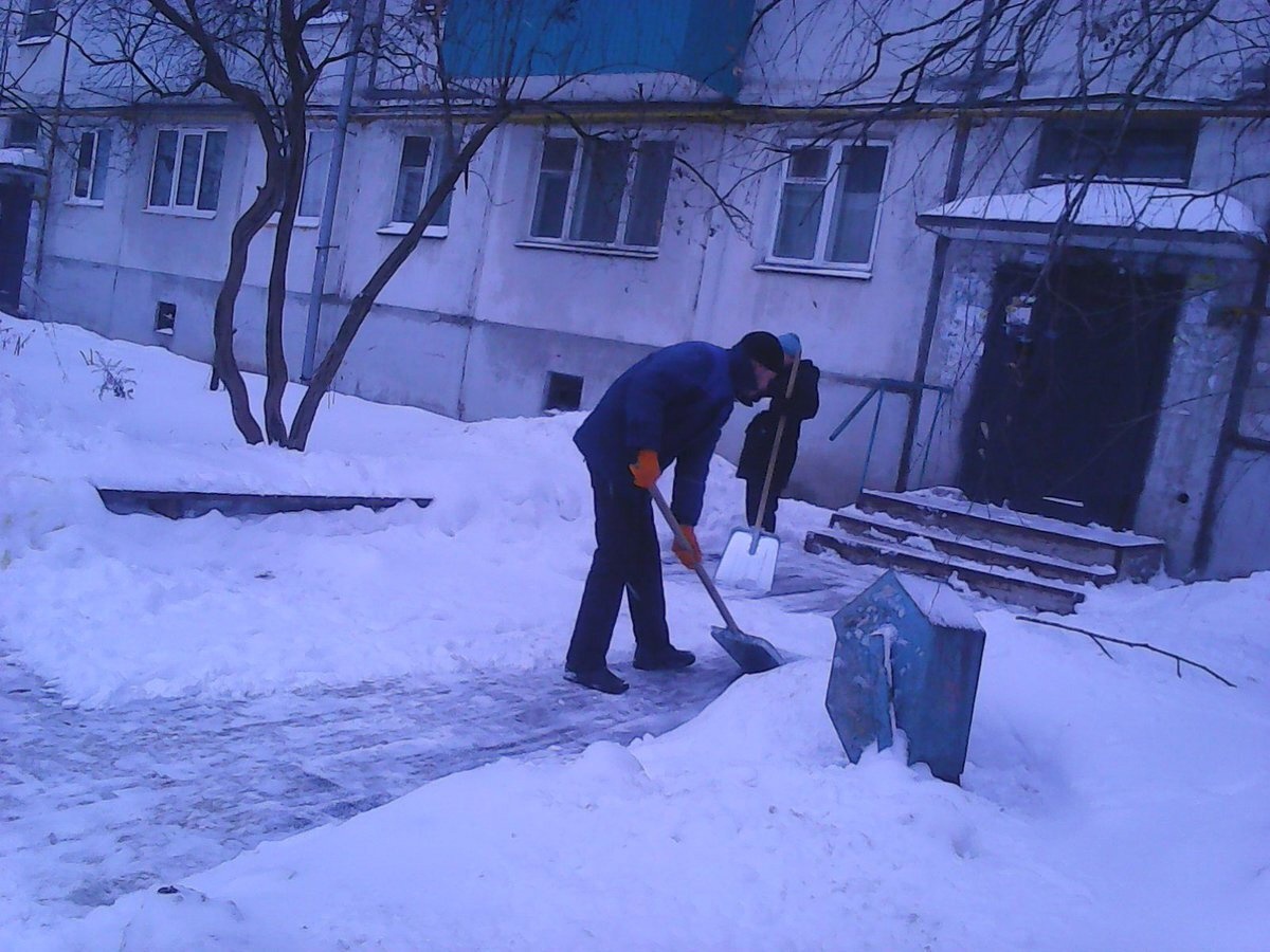 Чиновники попросили жителей Приладожья помочь дворникам с уборкой снега