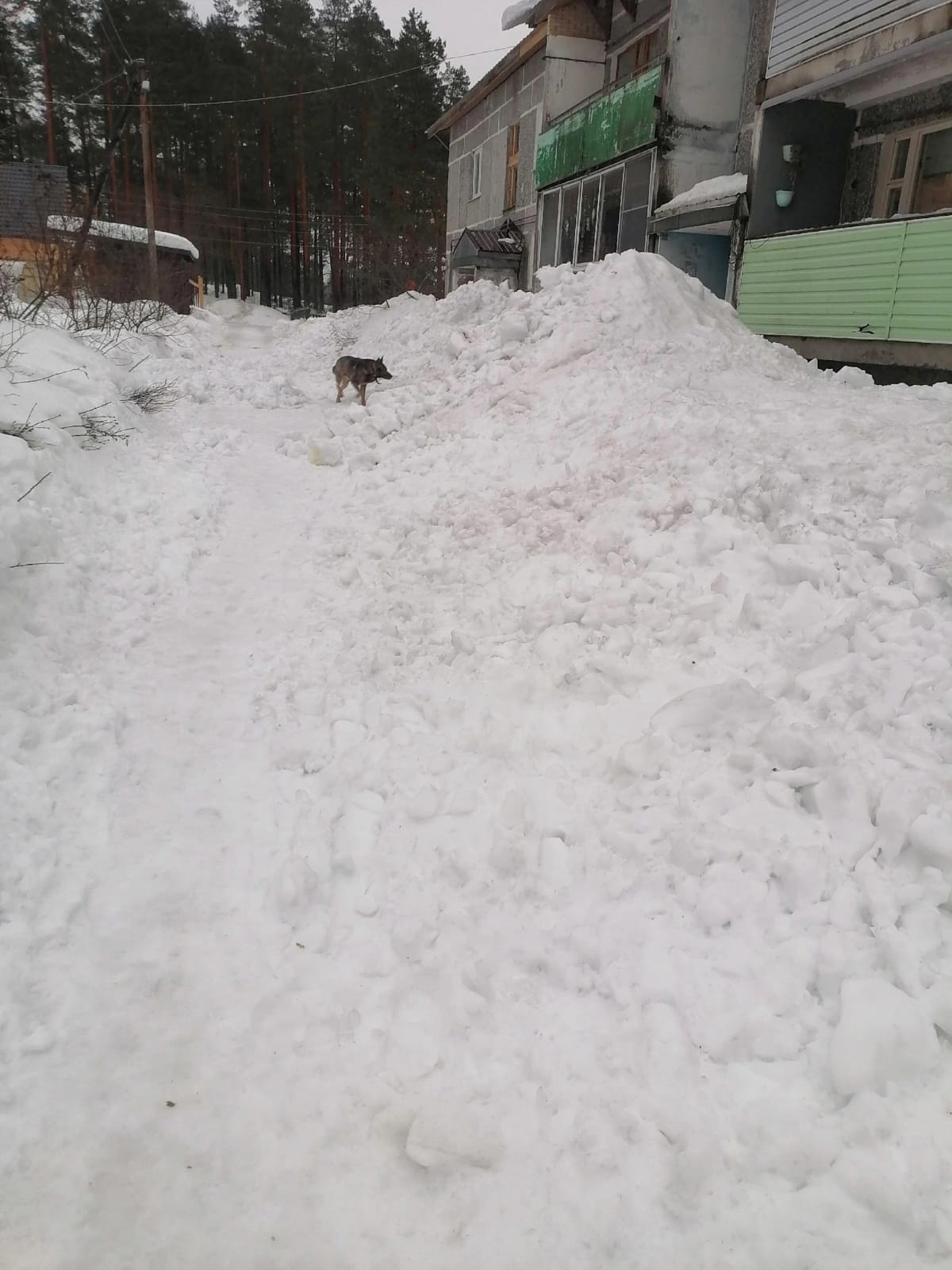 Жилой дом в поселке на юге Карелии завалило снегом