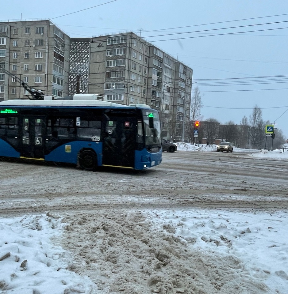 В воскресенье троллейбусы Петрозаводска работают только за наличный расчет