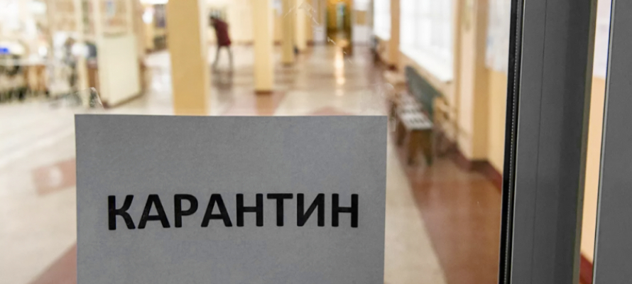 Больше 50 классов в 23 школах Карелии закрыли на карантин из-за ОРВИ