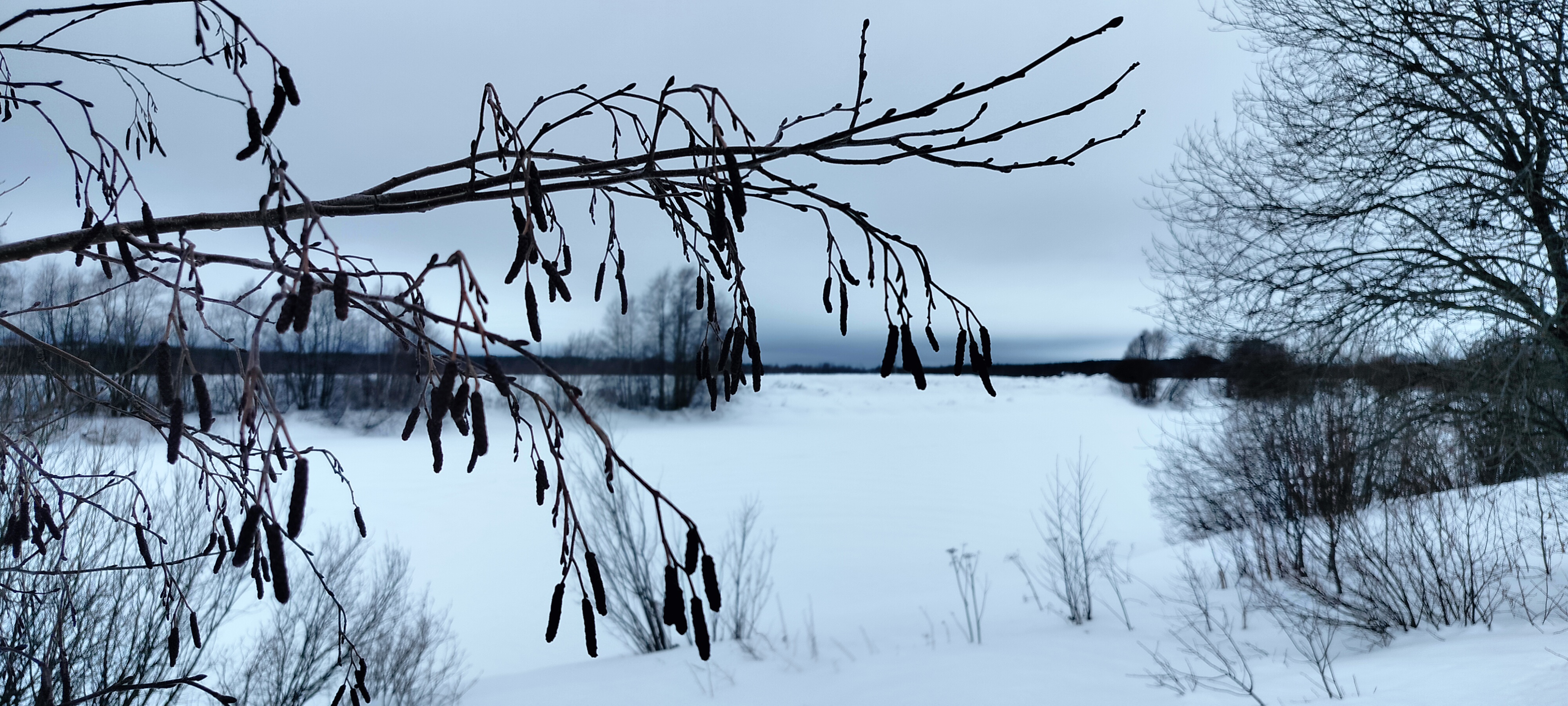 Синоптики рассказали о погоде на конец февраля и начале марта в Карелии