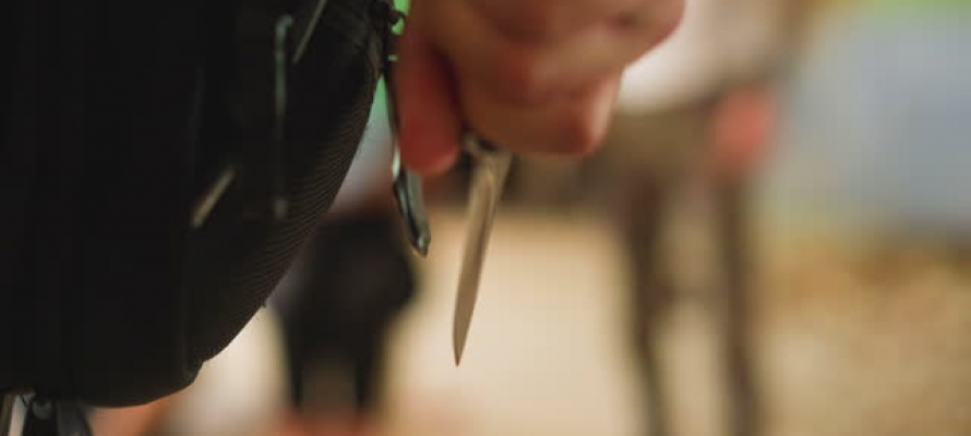 В Кондопоге мужчина угрожал кассиру ножом и был пойман по горячим следам
