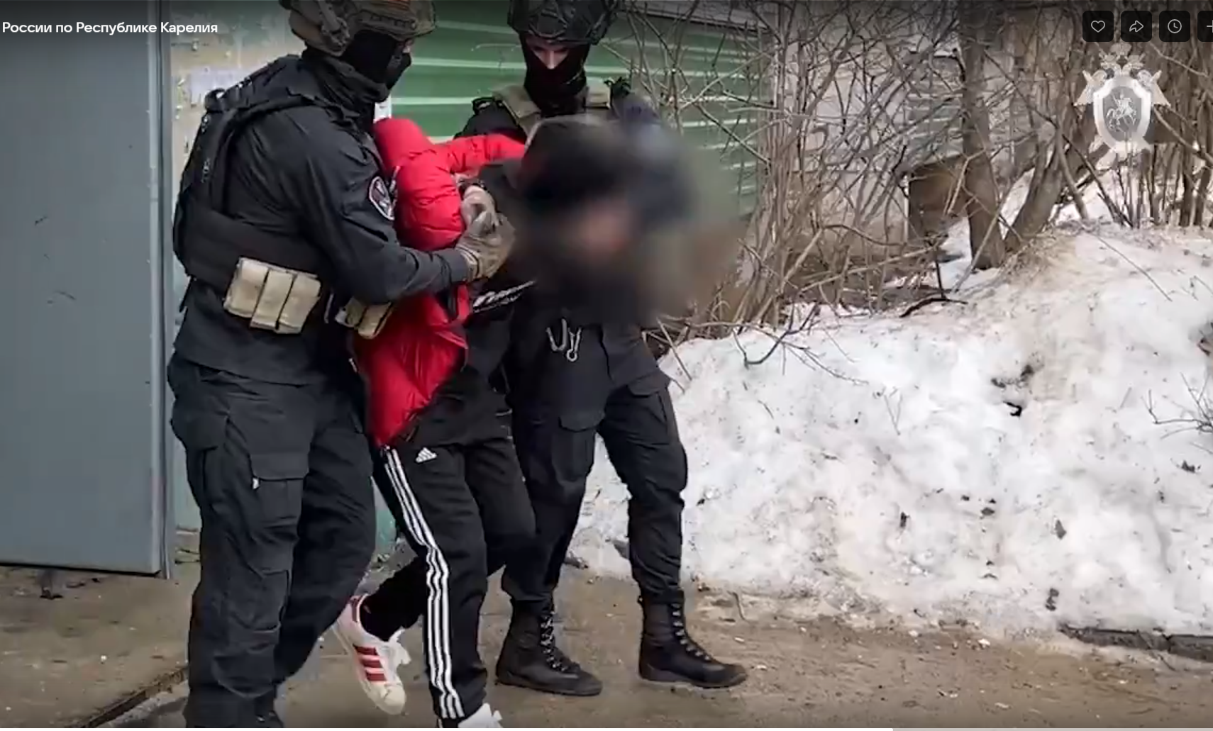 Полиция Карелии задержала трэш-стримера
за развратные действия 