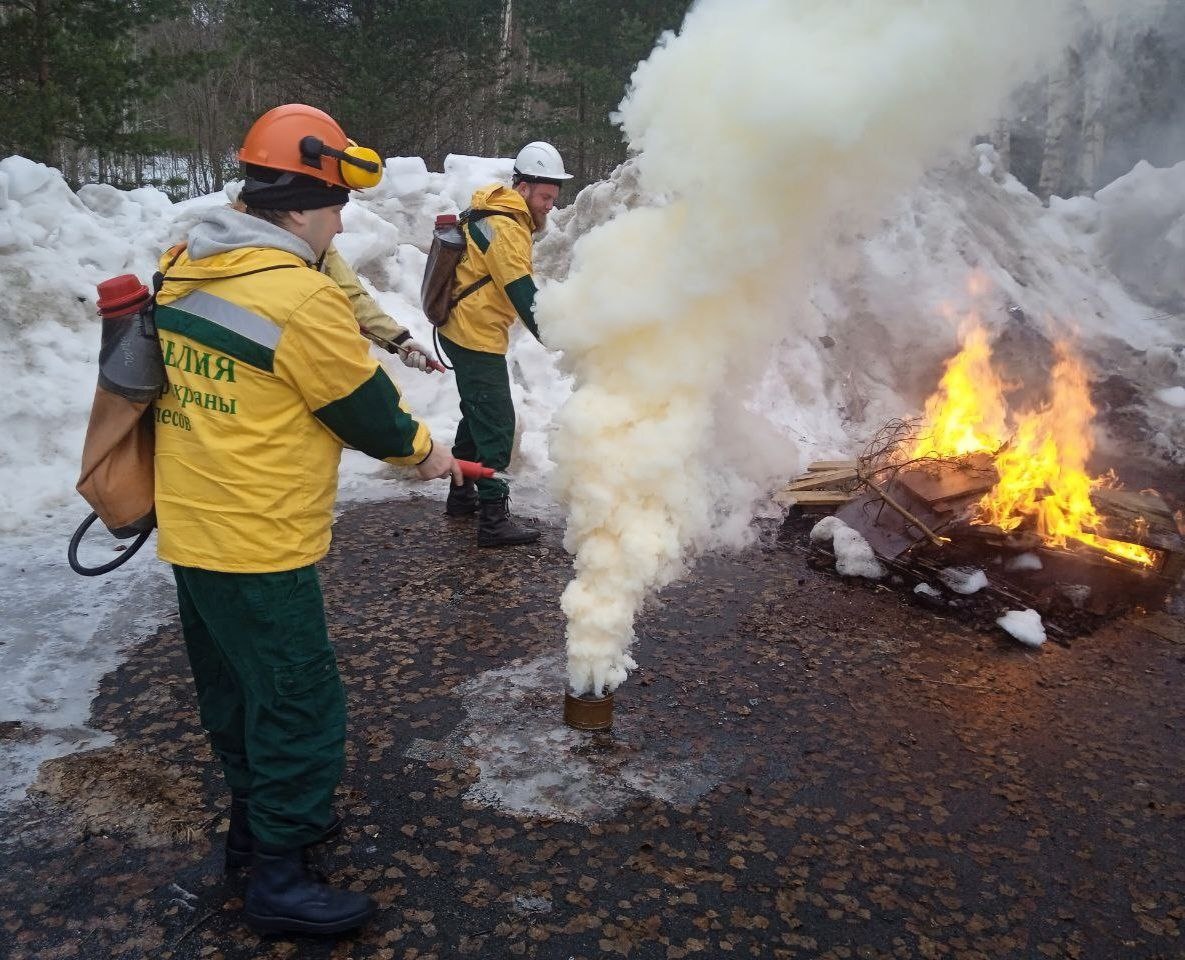 Спасатели Карелии отработали тактику тушения лесных пожаров