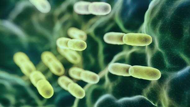 В Карелии снизилось число заболевших туберкулезом