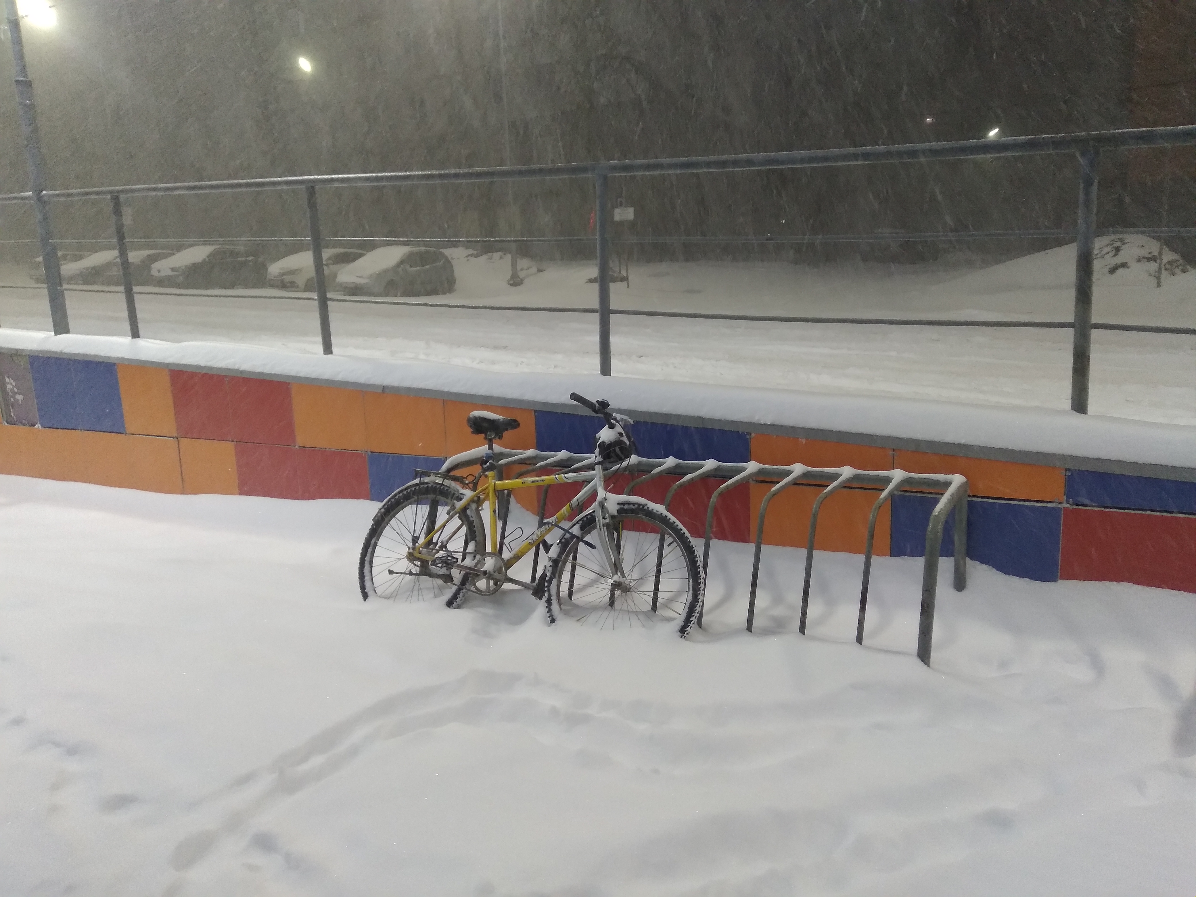 Снежный коллапс: в Петрозаводск вернулась зима