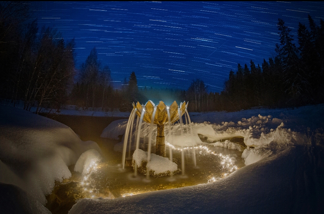 «Фонтан под звёздами»: сказочное фото знакового для Петрозаводска места появилось в сети
