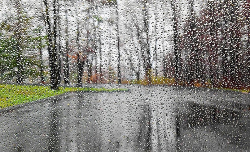 В понедельник Петрозаводск накроют обильные дожди