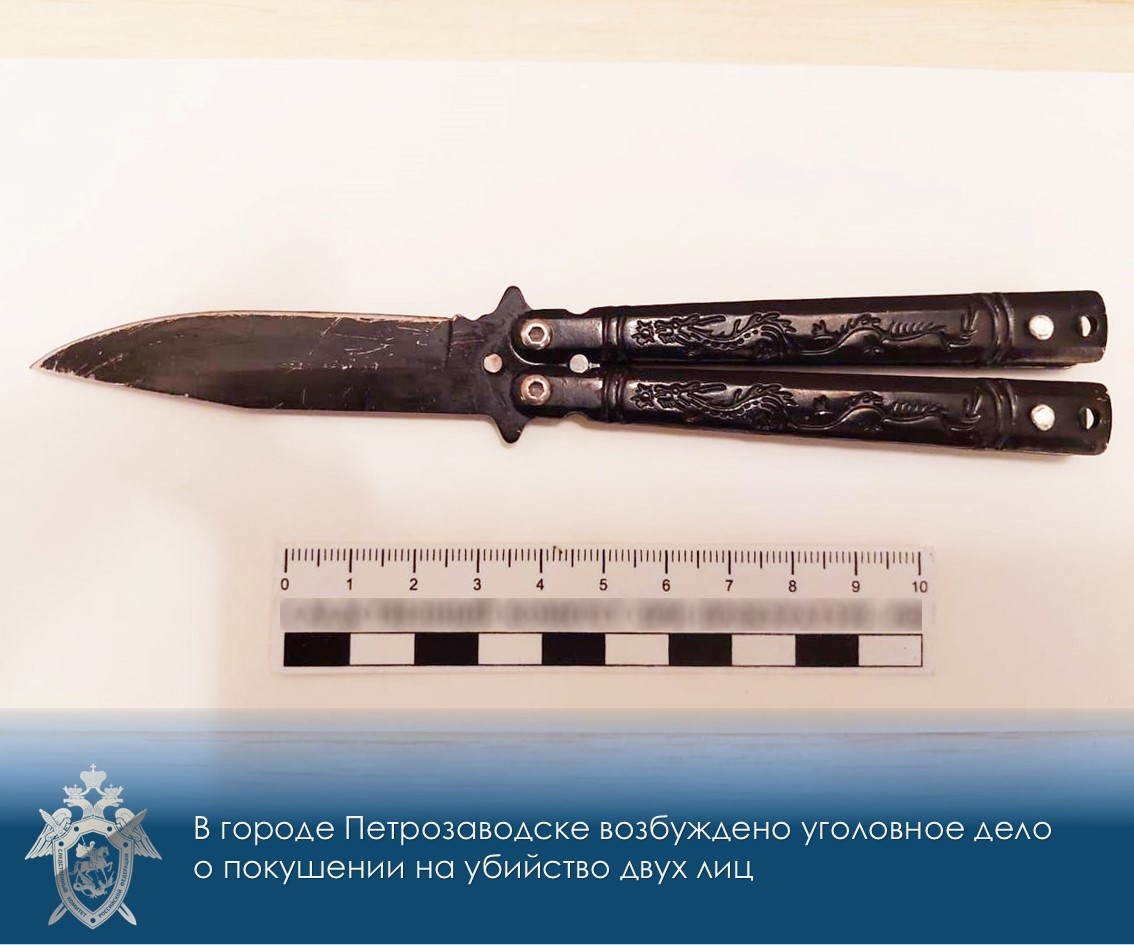 Идет следствие по уголовному делу в отношении подростка, изрезавшего ножом двух девочек в Петрозаводске