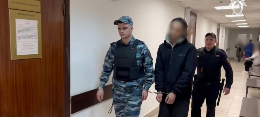 Заключен по стражу подросток, изрезавший ножом двух девочек в Петрозаводске