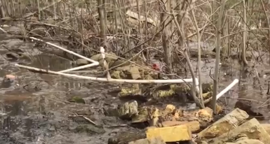 Ассенизаторы в Заозерье сливают нечистоты в местное озеро