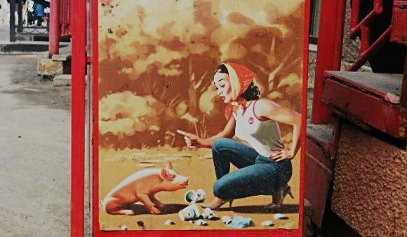 Бисер перед свиньями: горожане обсуждают изображение на урне в центре Петрозаводска