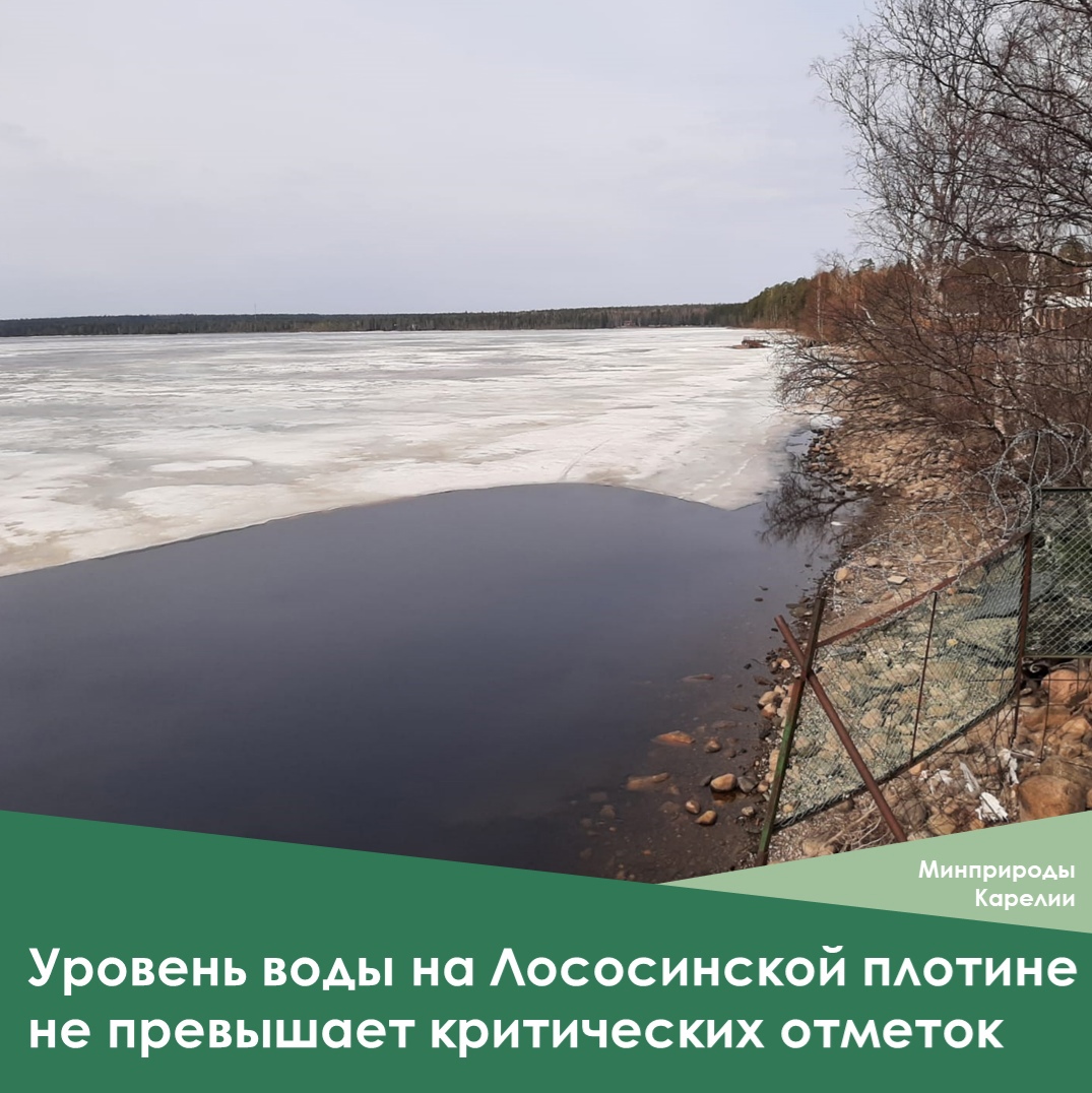Стал известен уровень воды на Лососинской плотине под Петрозаводском
