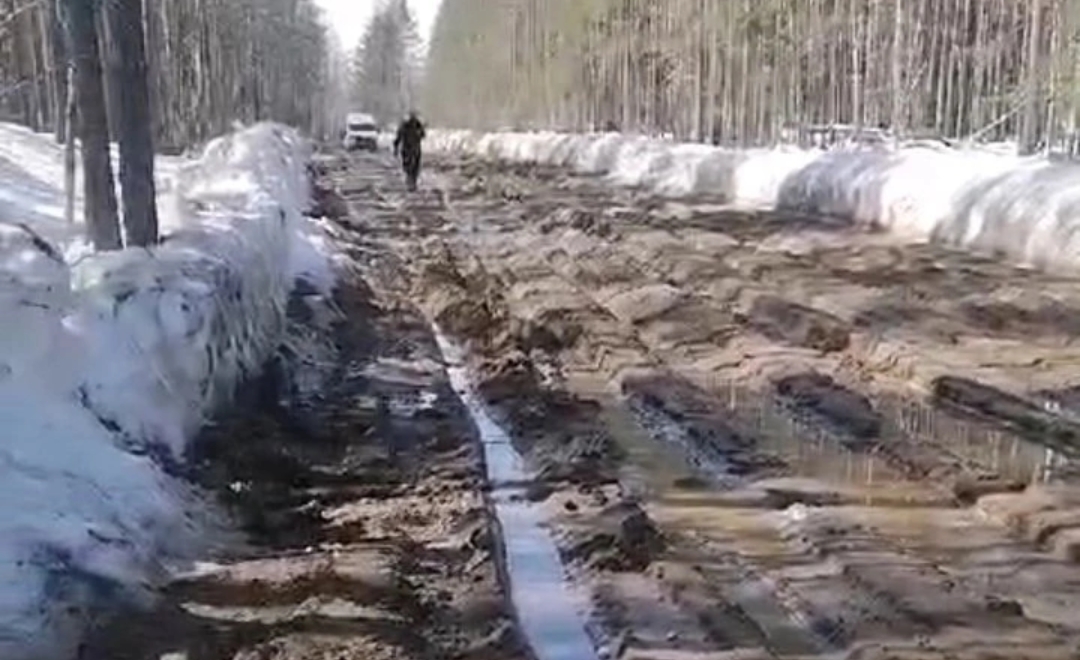 Дорога на севере Карелии превратилась в болото 