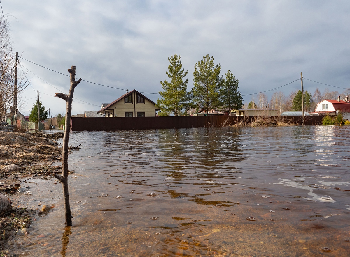 Дачный кооператив в Прионежье уходит под воду | СТОЛИЦА на Онего