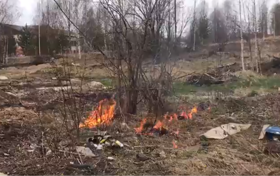 Пожарные Пудожского района Карелии дважды тушили горящую сухую траву