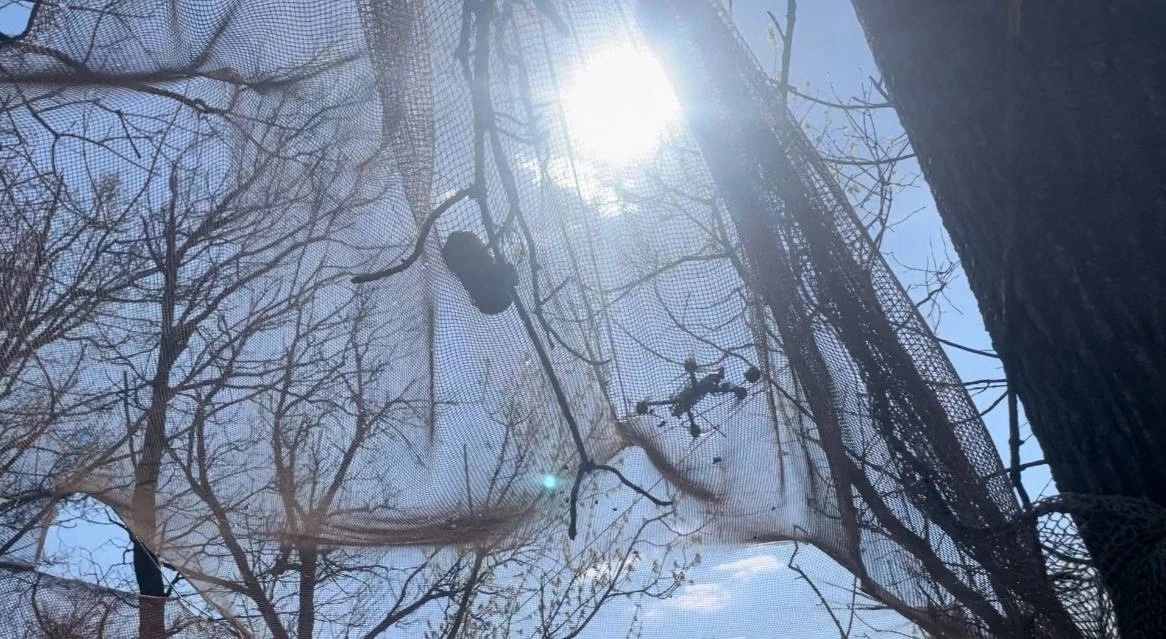 Карельская маскировочная сеть поймала дрон и спасла жизни бойцов