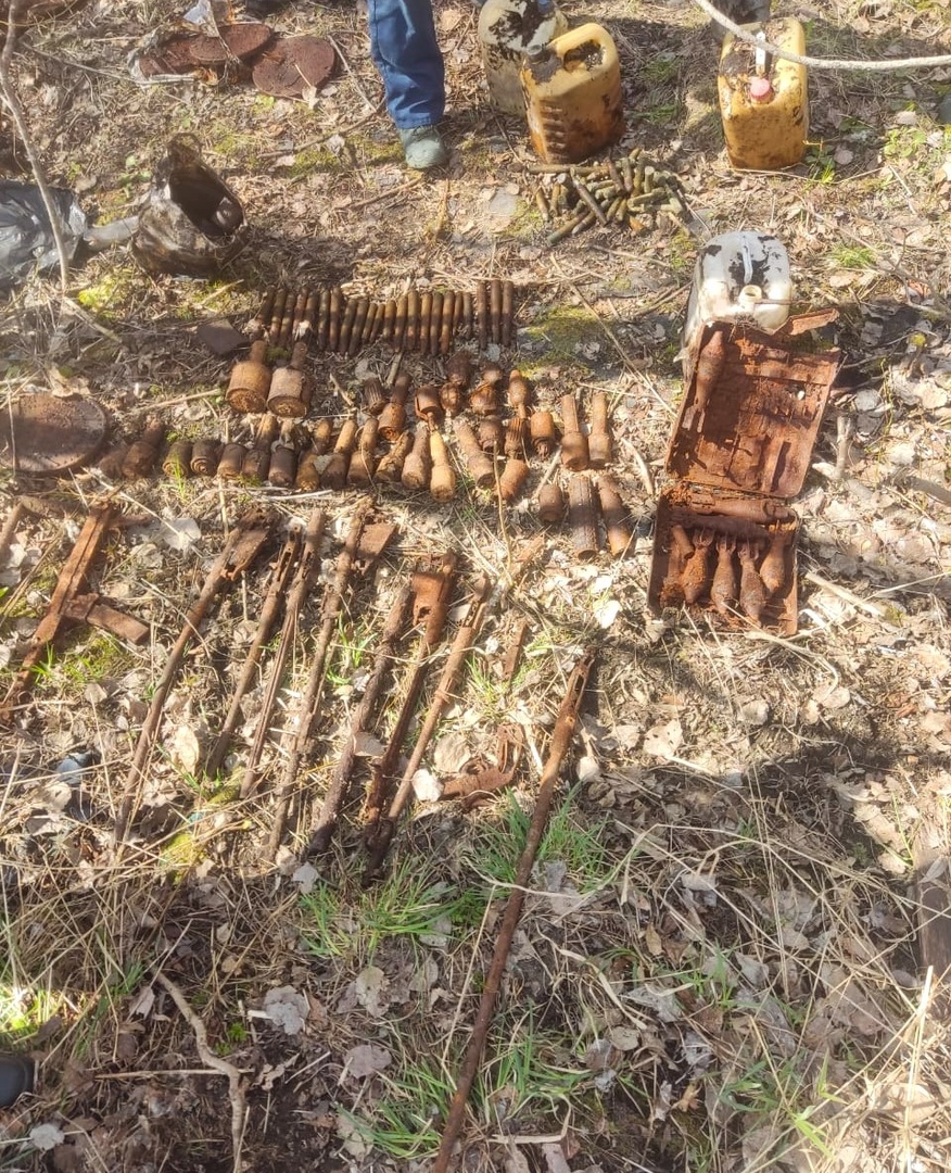 В Карелии уничтожили почти 120 старых боеприпасов