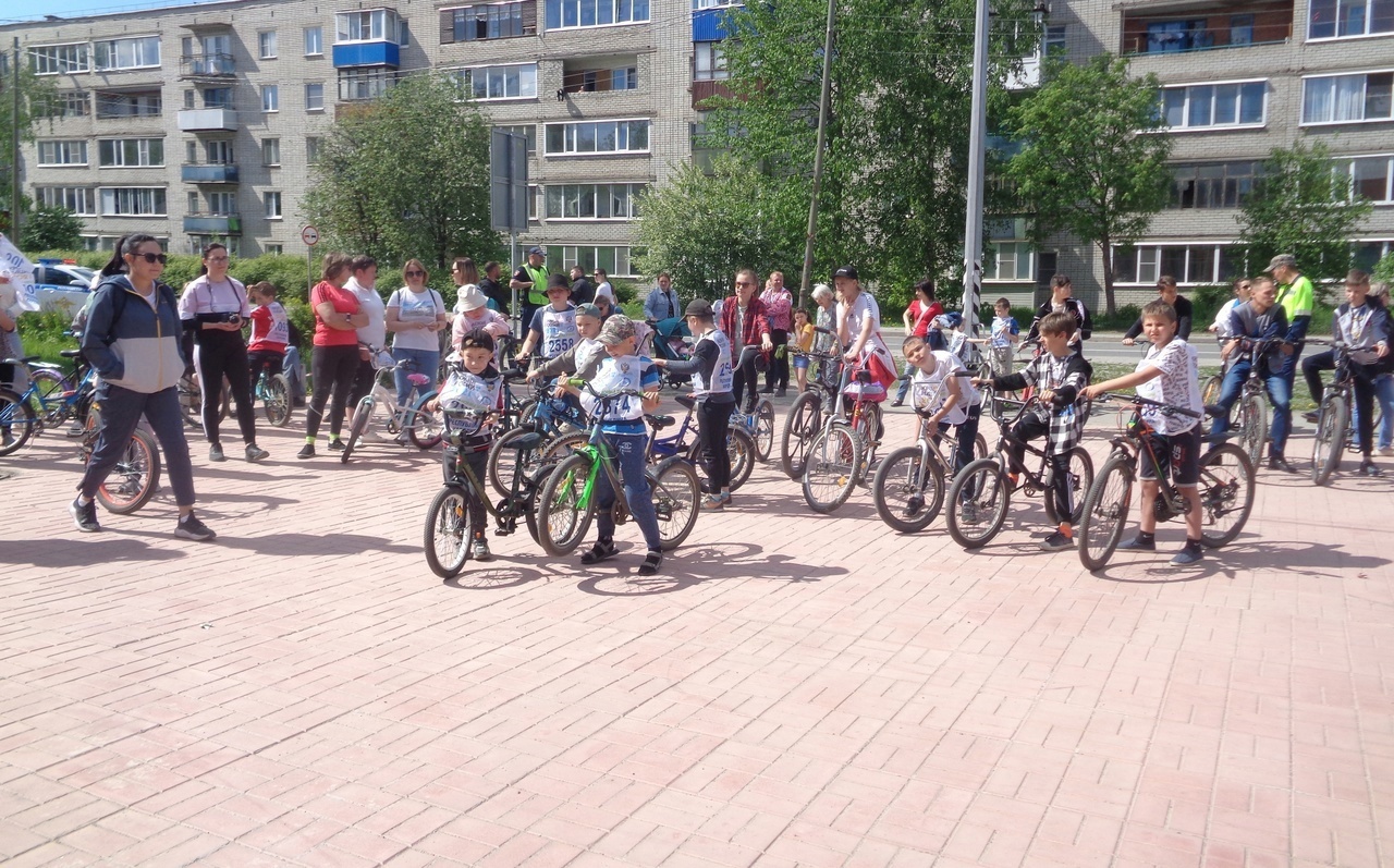 Велопарад «Велодей» проедет в Пудоже.