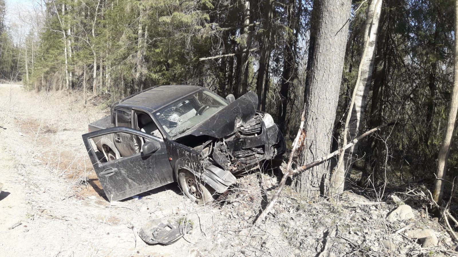 Погиб водитель китайской иномарки, врезавшейся в дерево в Кондопожском районе Карелии
