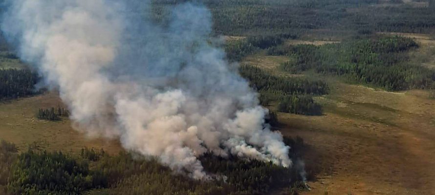 На юге и в центральной части Карелии вводится особый противопожарный режим: запрета на посещение лесов нет