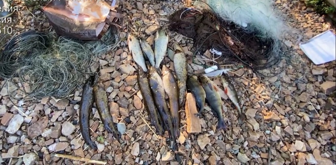 На Онежском озере рыбоохрана поймала нарушителей за незаконной ловлей рыбы