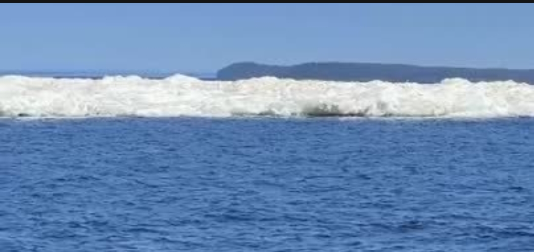 Удивительный ледовый «остров», полный нерп, обнаружили на Ладоге в Карелии