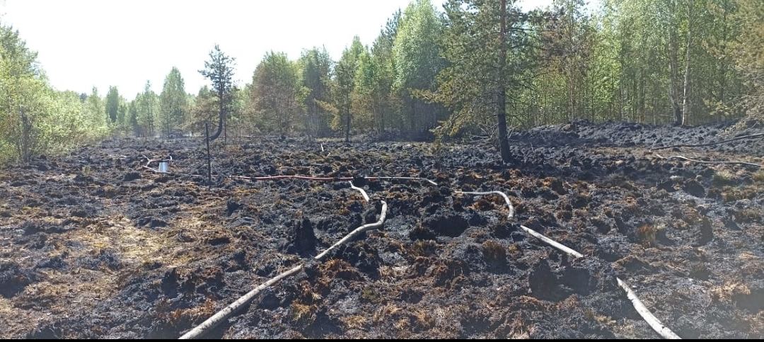 Трава загорелась недалеко от жилых домов поселка в Карелии 