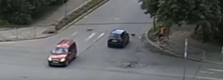 В Петрозаводске машина насмерть сбила выскочившую на дорогу маленькую собаку