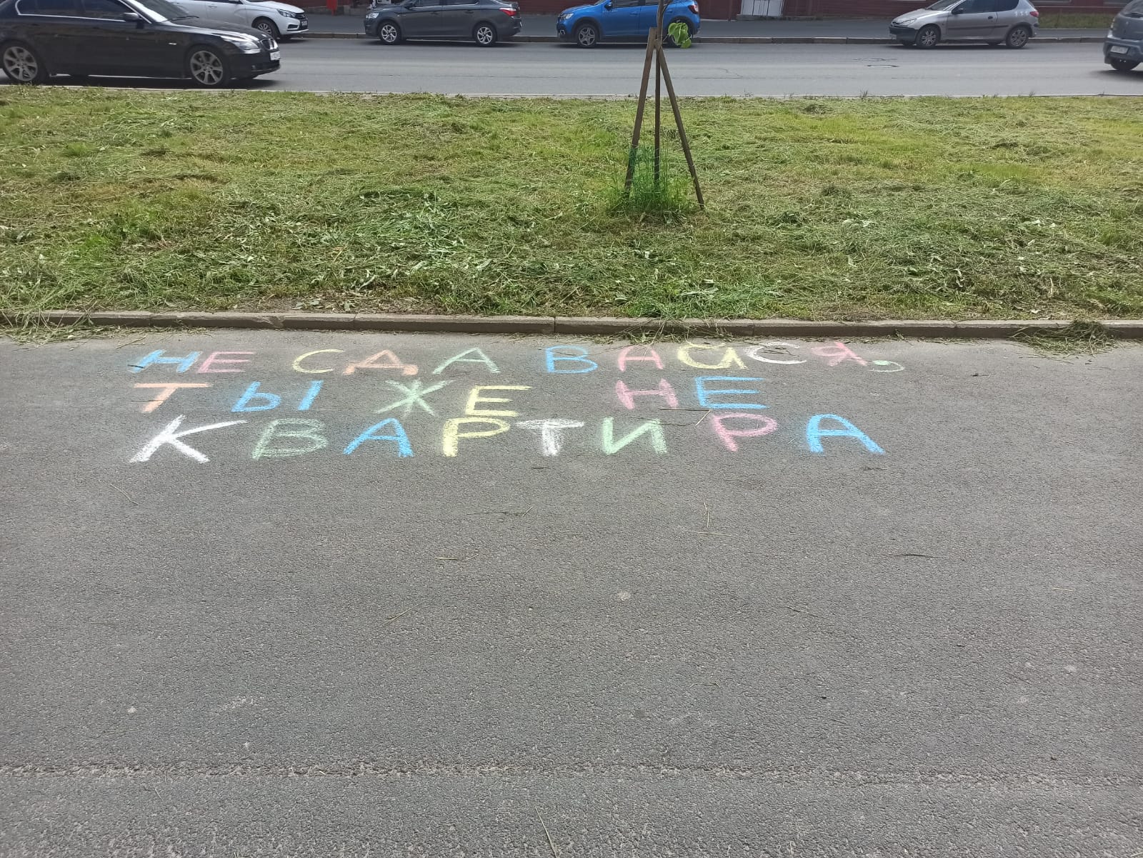 В канун выходных дней на проспекте Александра Невского на асфальте появилась яркая надпись