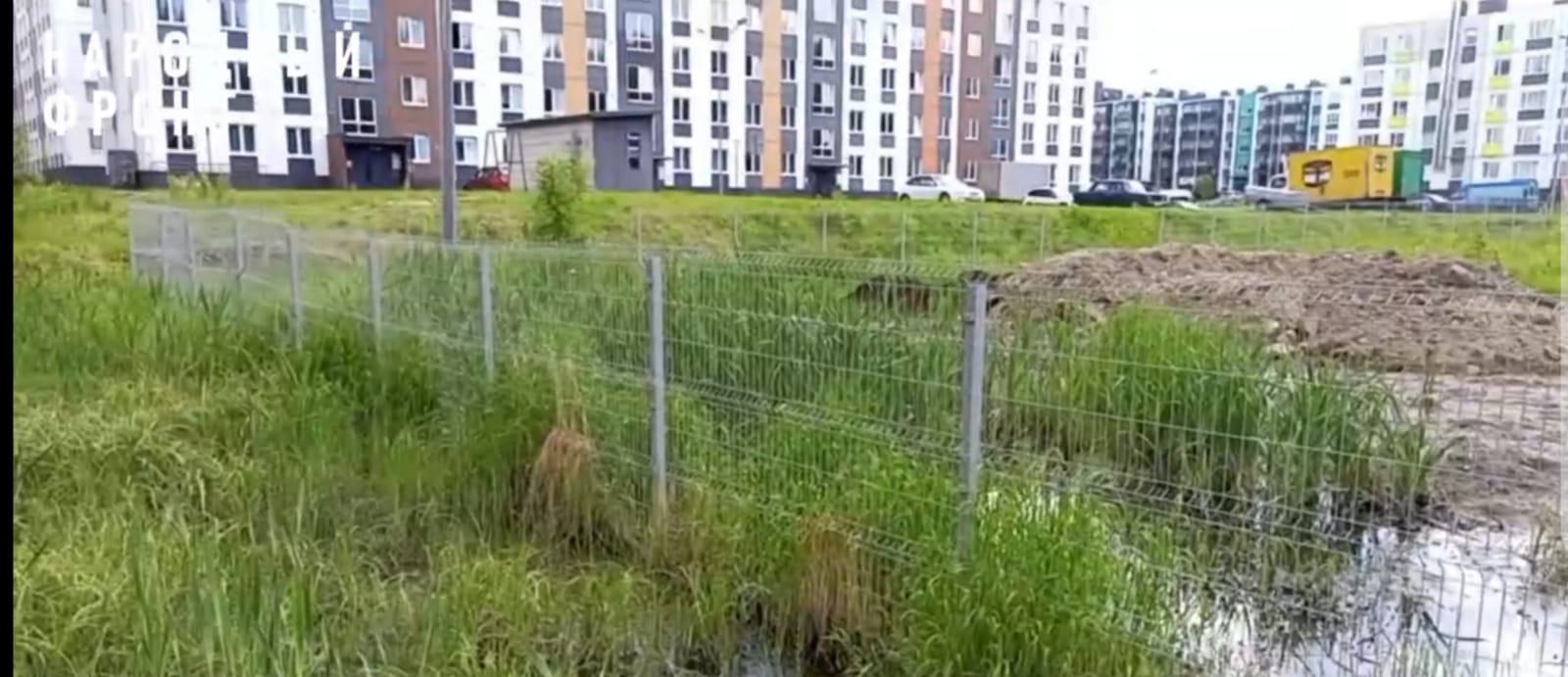 «Загляни лягушке в глаза»: в новом микрорайоне Петрозаводска продают квартиры с видом на болото