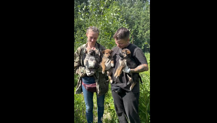 Три очаровательных малыша появились в первом Петрозаводском общественном приюте