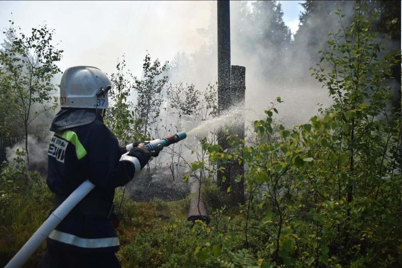 Очаг лесного пожара ликвидирован в Лахденпохском районе 